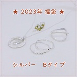 【予約販売】2023年★福袋（シルバーBタイプ）