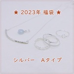 【予約販売】2023年★福袋（シルバーAタイプ）