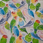 フレークシール　インコシリーズ