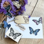 蝶々＊消しゴムはんこ butterfly