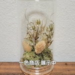 一色商店 展示中作品