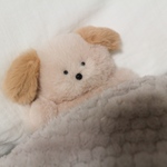 かすてら犬