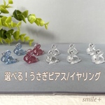 うさぎ ピアス / イヤリング
