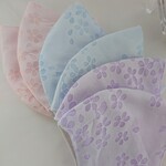 福袋2023🉐(Ｂタイプ)桜オーガンジーマスク 