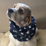 ニット素材★星柄ネイビー　犬用スヌード　中型犬用スヌード