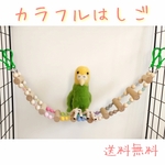 カラフルはしご