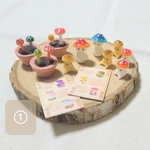 きのこ育成セット①