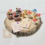 きのこ育成セット⑥