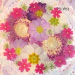 ♡new♡作家様必見♡押し花MIXセット♡押し花セット