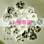 hjrosi様専用ページ