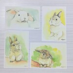 送料無料・うさぎのポストカード（４枚セット）