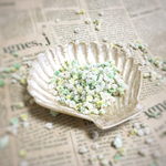 かすみ草   pastel mix ✽yellow✾green✽