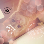 moran1様専用です♡