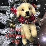 ☆オーナメント☆ごーるでんれとりぃばー♡