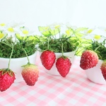 選べるいちご🍓 アメリカンフラワー  ディップアート