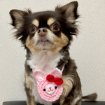 犬用＆猫用  うさちゃんポシェット🐰💖お散歩 お出かけ インスタ映え お正月