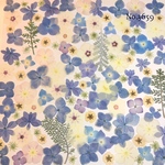 ♡new♡作家様必見♡押し花MIXセット♡押し花セット