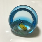 サンゴ礁の一雫 ｳﾃﾞﾌﾘﾂﾉｻﾞﾔｳﾐｳｼ(ﾋﾟｶﾁｭｳｳﾐｳｼ)