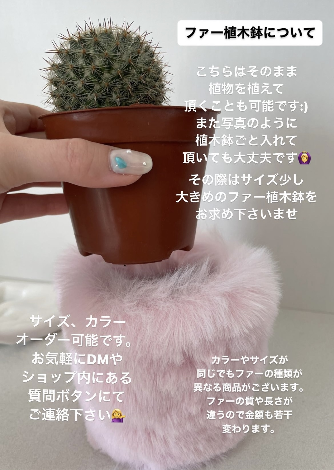 ちょっと大きめ¨̮♡⃛韓国鉢 ちょっと大きめ¨̮♡⃛韓国鉢