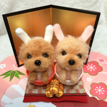 ⭐︎専用ページです⭐︎