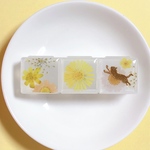 花に喜ぶ ﾎﾟｰﾁｻｲｽﾞのｺﾝﾊﾟｸﾄｹｰｽ/ｱｸｾｻﾘｰｹｰｽ/ﾋﾟﾙｹｰｽ　旅行や持ち運びに便利な小物入れ･収納　猫×花