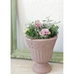 【ｔ様ご予約品】.ﾟ･*.Robe de Antoinette .ﾟ･*.ローブ・ドゥ・アントワネットの寄せ植え②