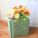🌻BOOK型の鉢にアンティークなフリルビオラ　お花の寄せ植え　贈り物にも