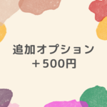 追加オプション