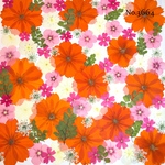 ♡new♡作家様必見♡押し花MIXセット♡押し花セット