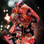 anecat様専用　　犬服/猫服　晴れ着　京・金彩友禅 雪輪橘に手毬（黒）振袖スタイル　お引きづり/通常着丈選択可能 [K2201]