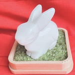 数量限定❤️ 2023年 卯（うさぎ）卯年の縁起物 邪気払い 浄化 飛躍 家内安全 子宝 天然石 漢白玉 玄関へおすすめ♪