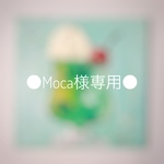 ●Moca様専用ページ●