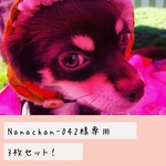 Nanachan-042 様　専用