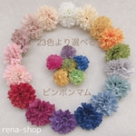 《3.5cm &2cm》23色より選べるピンポンマム