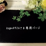 kzgm0926さまアイシングクッキー専用カート