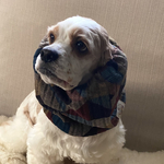 セール❤︎個性派リブニット❤︎犬用スヌード　中型犬用スヌード