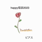 12/26夜9時〜販売happy福袋2023ピアス