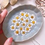 【押し花素材】マトリカリア　　pressed flowers