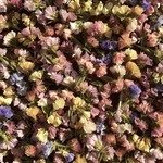 10gヘッド☆花農家のスターチスドライフラワー☆ニュアンスカラーミックス