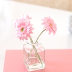 枯れない溢れない   シンプルガーベラのウォーターアレンジ    pink