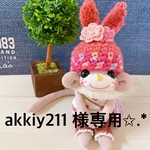 akkiy211 様専用✩.*˚