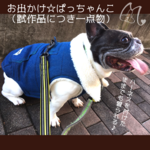 【試作品につき一点物】お出かけ☆ぱっちゃんこ(犬用 ちゃんちゃんこ)