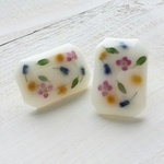 milk flower …ミモザ…
