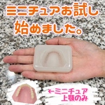 【お試し用】義歯チョコ (ミニチュア)入れ歯 型 シリコンモールド 食品用