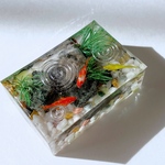 水槽金魚〜長方体(お写真のものをお届けします)