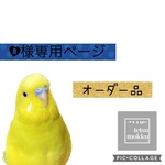 R様専用ページ