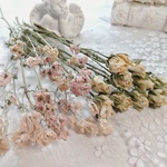 ドライフラワー花材ミニバラとデルフィニウム