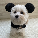 犬の　着ぐるみみたいなスヌード　パンダさん🐼