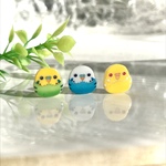 セキセイインコのぷちピアス
