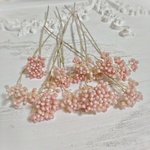 ドライフラワー花材ライスフラワー